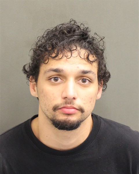 Mugshot of ROBERTO BORIS ARENCIBIA