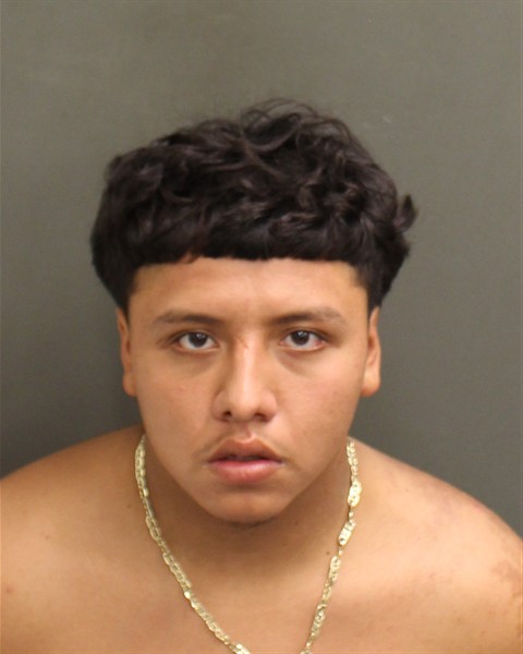 Mugshot of GERARDO CEPEDAFLORES