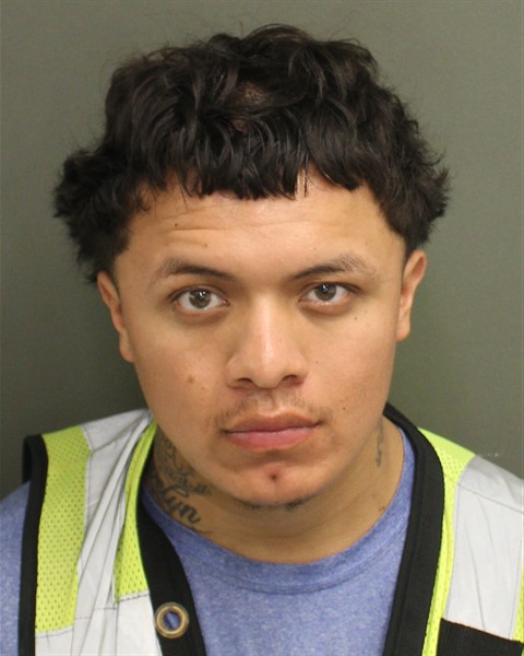 Mugshot of MIRAMON JR CEPEDAFLORES