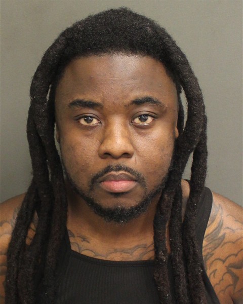 Mugshot of RIJKAARD FLORVIL