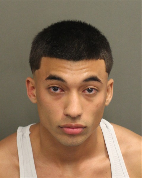 Mugshot of DIANNY GARCIA