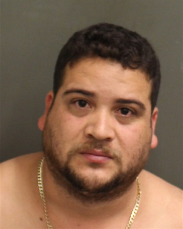 Mugshot of GEBIN YOJAN LOBOREYES