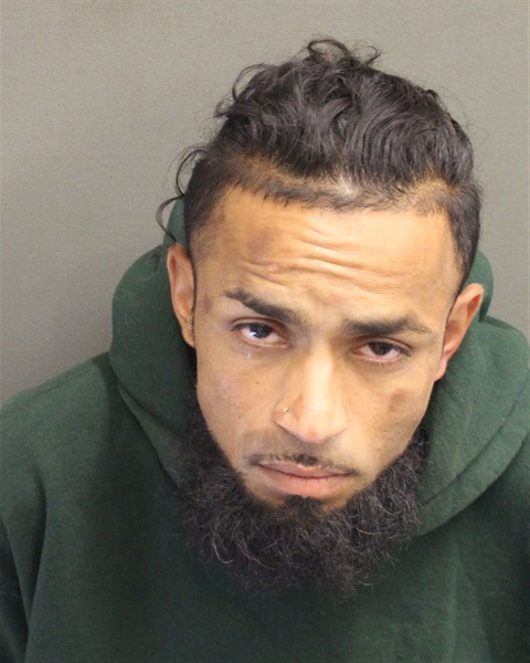Mugshot of LUIS RICARDO NIEVESMALDONADO