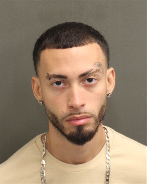 Mugshot of LENNYS YADIEL REINAGERENA