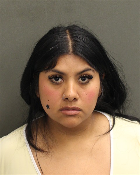 Mugshot of TERESITA GARCIA