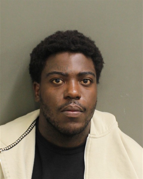 Mugshot of RONALD BRENT JR KING