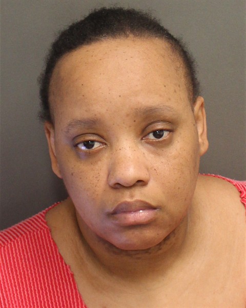 Mugshot of ERIKA ELISSA CLARK