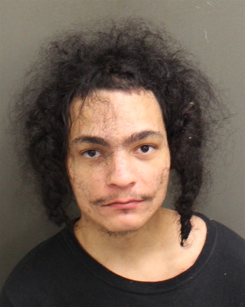 Mugshot of DAVID LUIS MADERA