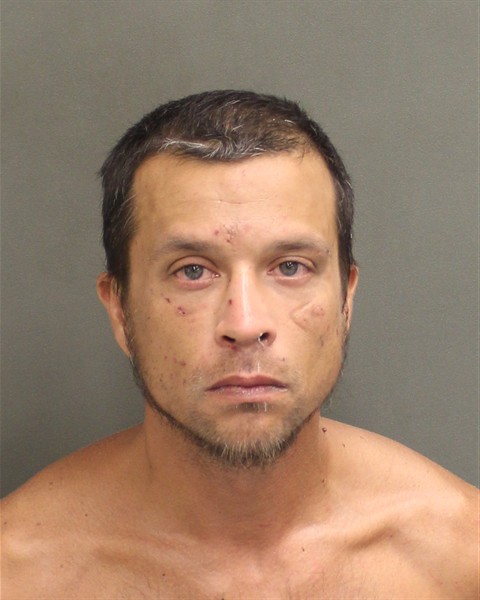 Mugshot of AARON NELSON HILDR FARRELL