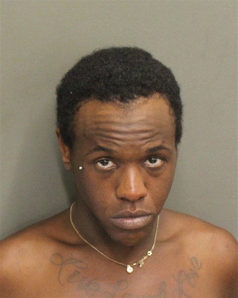 Mugshot of ALONNA RENEE LIGON