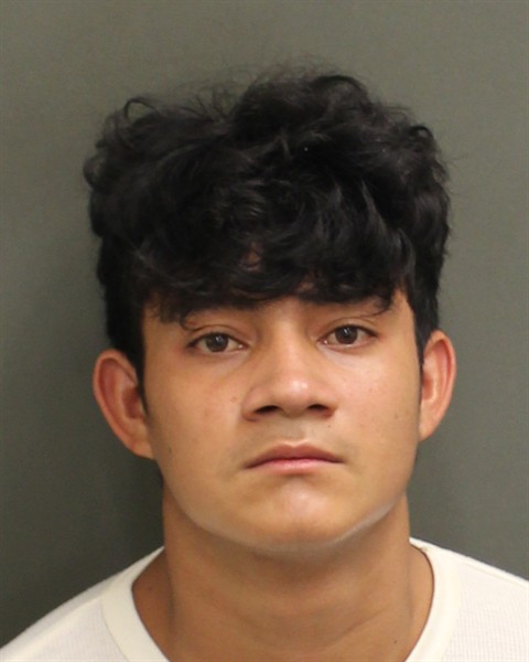 Mugshot of YIMMY LEONEL PERDOMOCARTAGENA