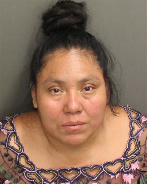Mugshot of IRMA YOLANDABUTZ
