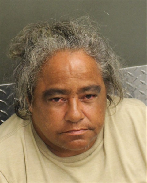 Mugshot of YVETTE MELLS