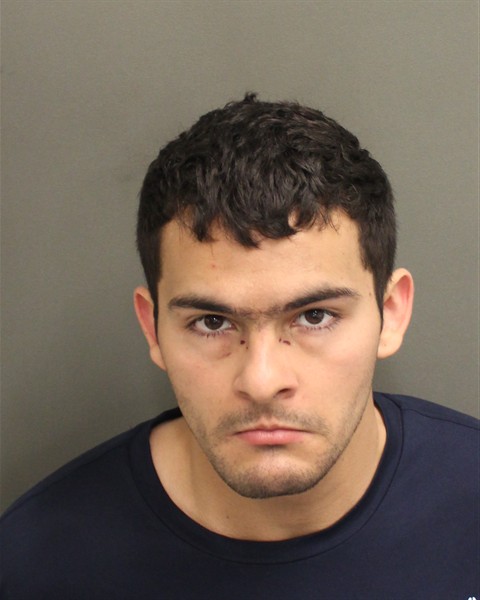 Mugshot of LOIC SEBASTIAN PALINVALENTINO