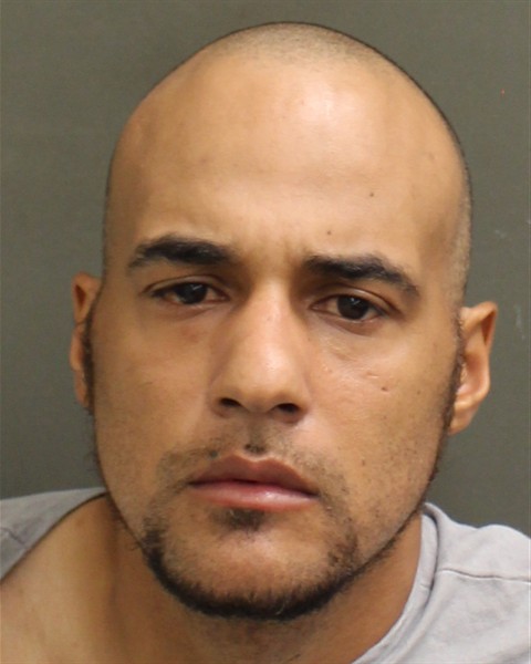 Mugshot of EDWIN MARTIN DELAROSAPOLANCO