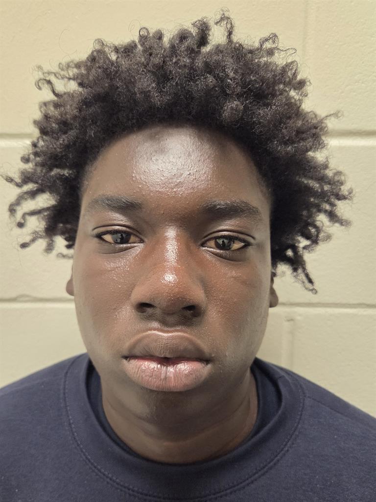 Mugshot of PRESENTENCED