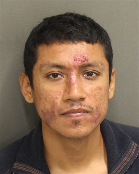 Mugshot of BRAYAN ISMAEL GUDINOMUNOZ