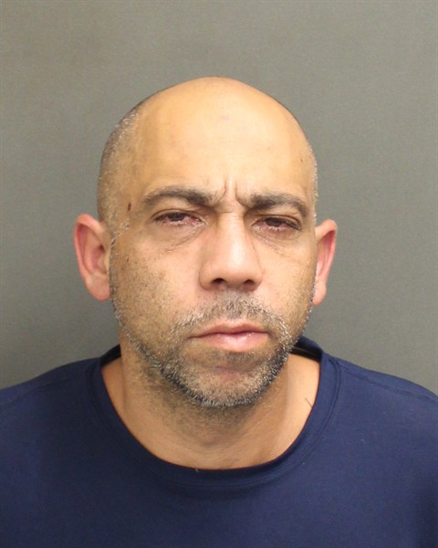 Mugshot of RAMON JR BORROTO