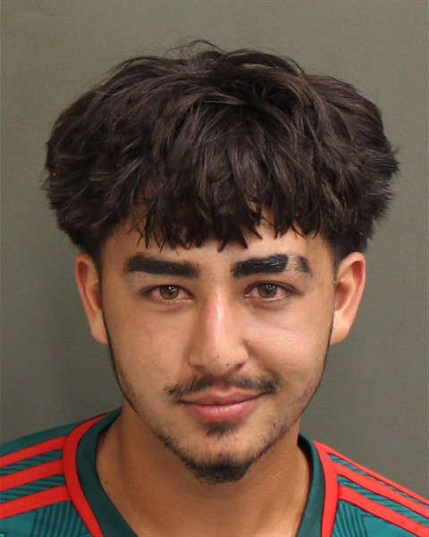 Mugshot of VLADIMIR POPKOV