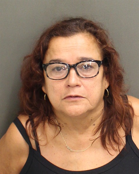 Mugshot of NANCY IVETTE SOLERCRESPO