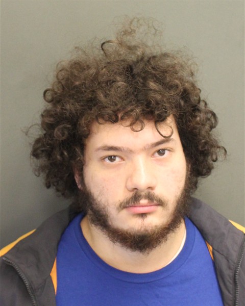 Mugshot of FABIAN FELIPE GALAN