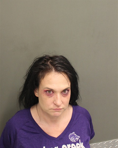 Mugshot of CANDACE DAWN THIRD