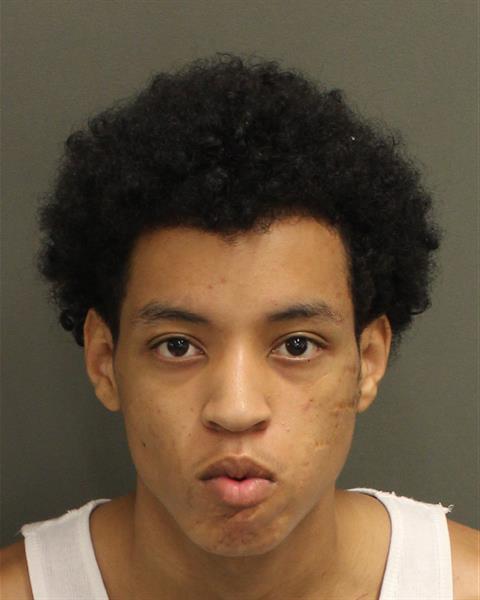Mugshot of RICARDO LUIS PETERSON