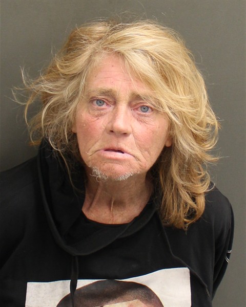 Mugshot of DIANIA LYNN FLAKE