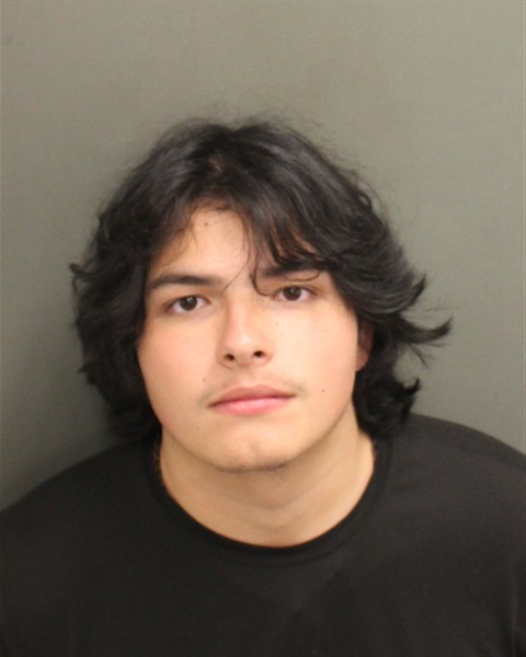 Mugshot of ELIO ALESS MENEGOLLACAPRILLES