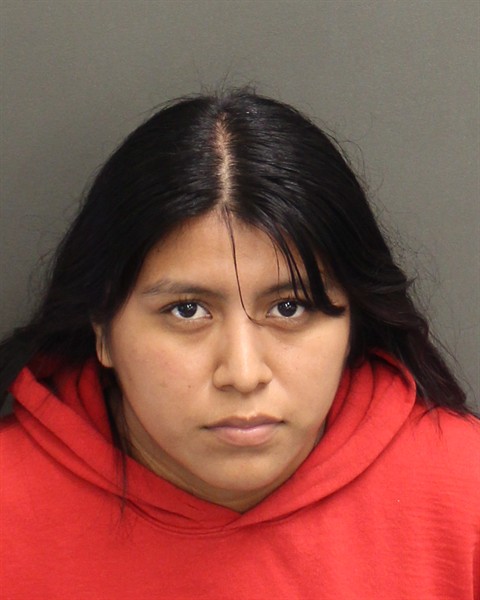 Mugshot of JARO JESUS ELIAS VASQUEZ