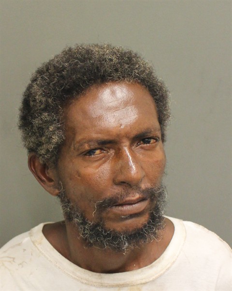 Mugshot of TSEGHU MEKONEN