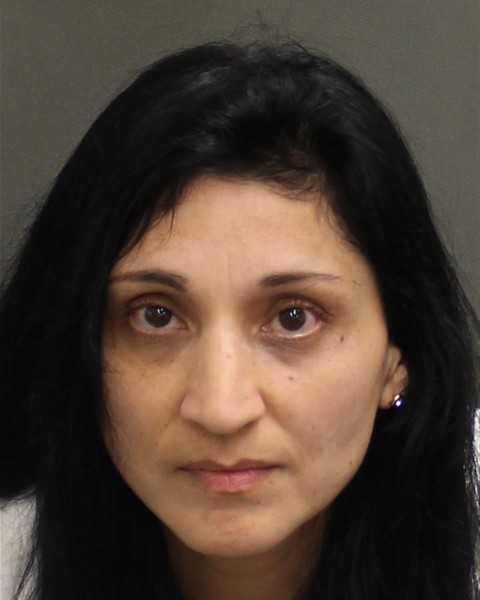 Mugshot of ISABEL DEL CARMEN ORTEGAVILLABLANCA