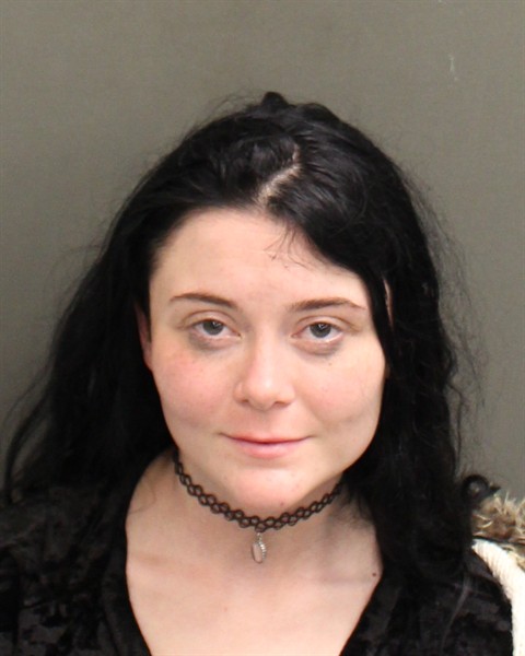 Mugshot of MEGAN STORM MILLETT