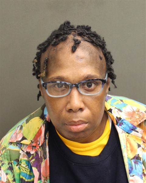 Mugshot of ELIZABETH A LOWRY