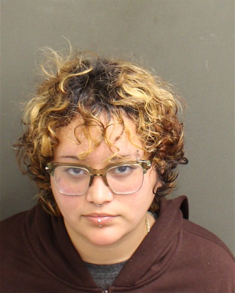 Mugshot of SYLVIA NICOLE SEDA