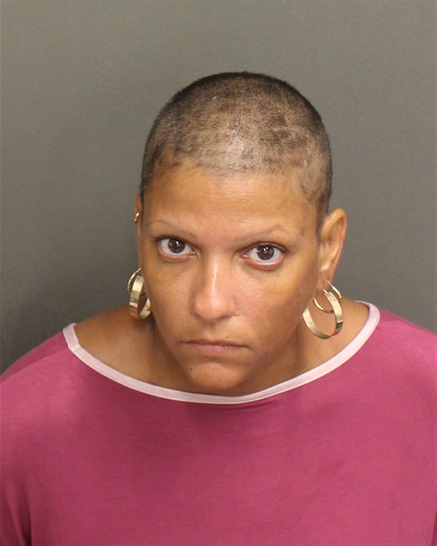 Mugshot of DAYANA ORTIZORTEGA