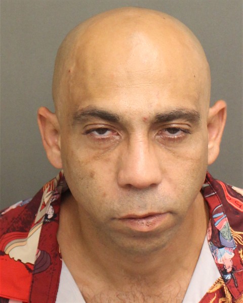 Mugshot of RAMON JR BORROTO