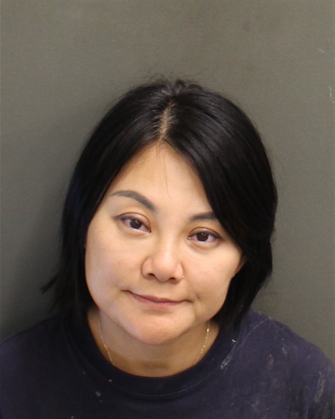 Mugshot of LE LI