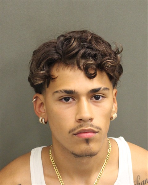 Mugshot of HAYDERSANTIA HIGUERAMIRANDA