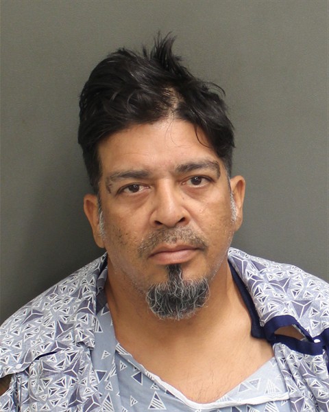 Mugshot of YAN CARLOS DOMENECHMOLIERE