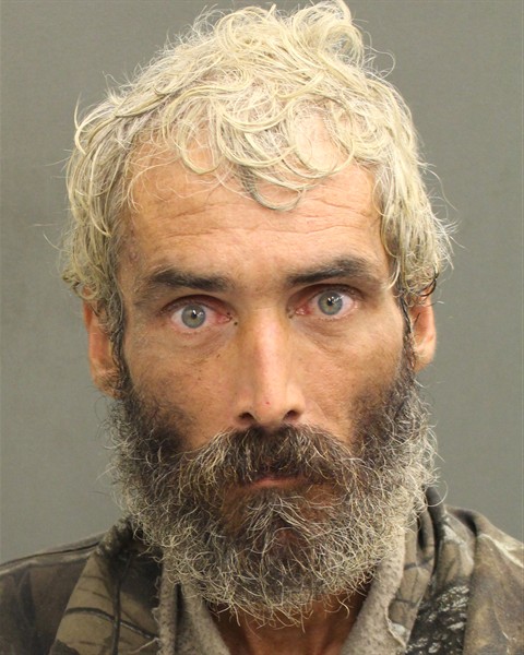 Mugshot of DONALD G JR MCVAY