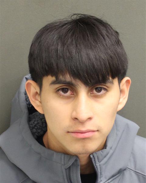 Mugshot of EDAR FABRICIO DEJESUSMATHEU