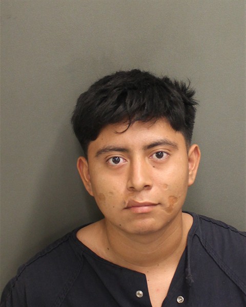 Mugshot of LUIS FERNANDO PEREZVELASQUEZ