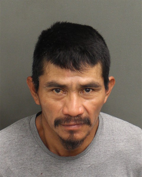 Mugshot of MARIO H LOPEZSIMAJ