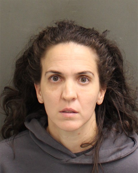 Mugshot of ALLISON KAYE ANDRACHAK