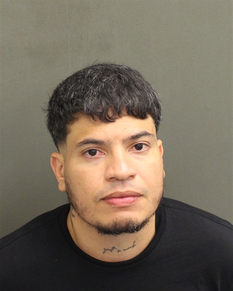 Mugshot of JOSE LUIS BORGESLOMBANO