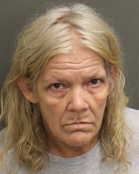 Mugshot of LISA ANNETTE DEES
