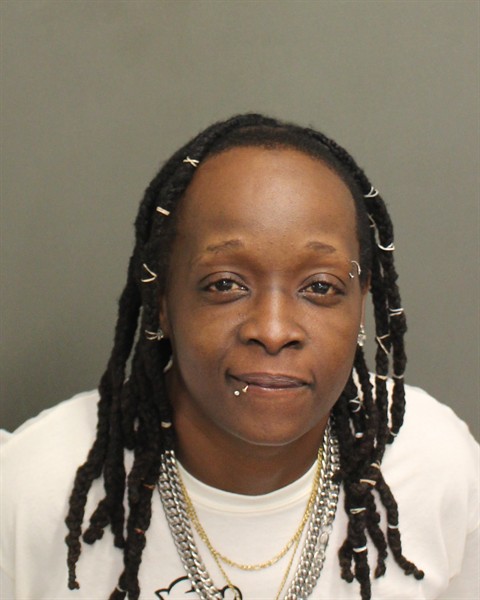 Mugshot of ANN JOHNSON