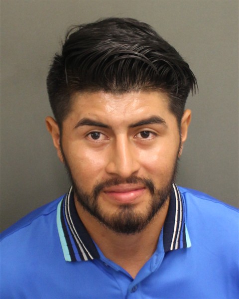 Mugshot of RONMEL DAVID GARCIAREYES