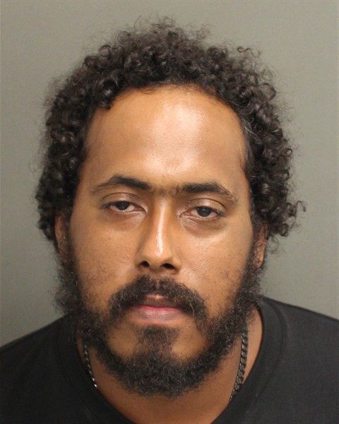 Mugshot of JOEL ANTONIO MEJIA